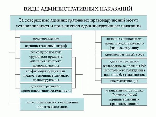 Права и обязанности подсудимого