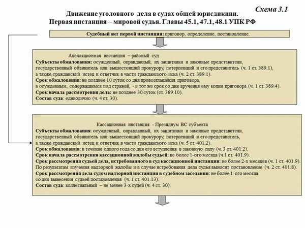 Оспаривание решения суда и исполнение приговора