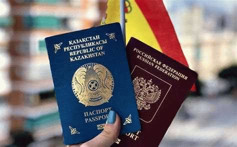  Подача заявления на получение гражданства 