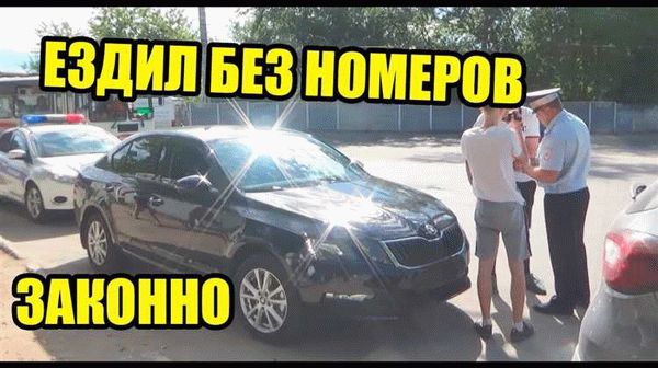 Важность правил дорожного движения