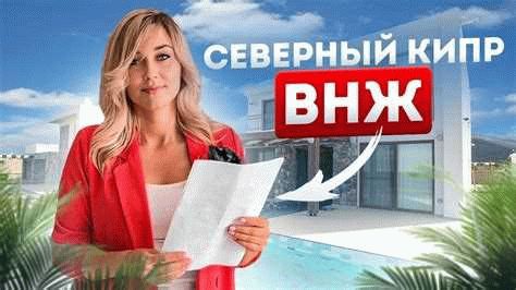 Ожидать решение о выдаче ВНЖ