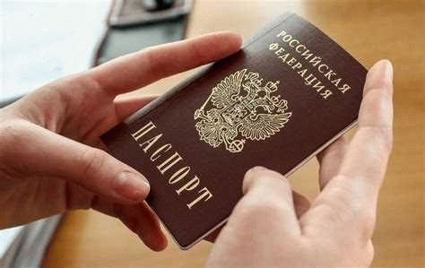 Высококвалифицированный специалист (Highly Skilled Professional Visa)