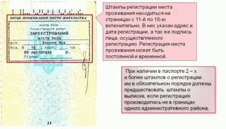 Раздел 5: Результаты и сроки установления гражданства