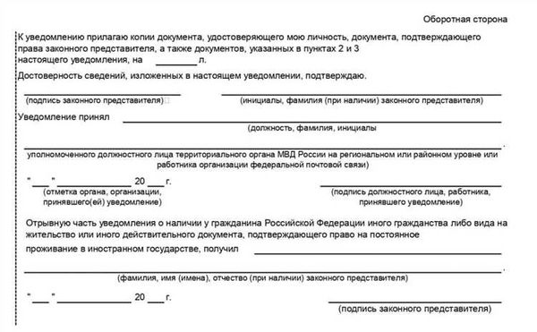 Стоимость оформления второго гражданства и сроки