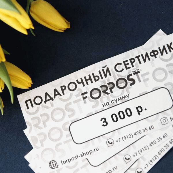 Украденные 3000 рублей: как вернуть деньги?