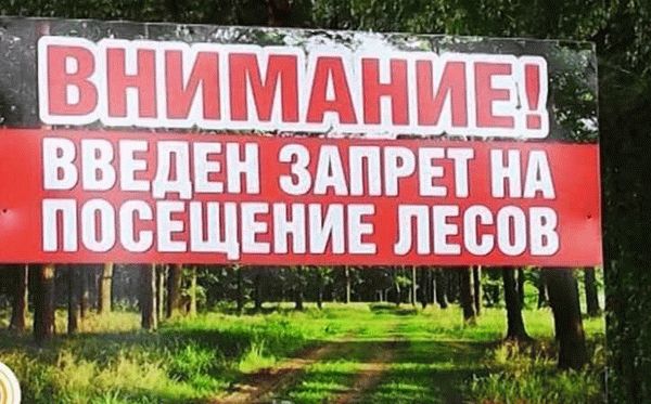 Противостояние природоохранительным организациям