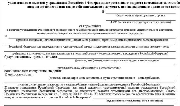 Инструкция по заполнению бланка уведомления МВД о втором гражданстве: