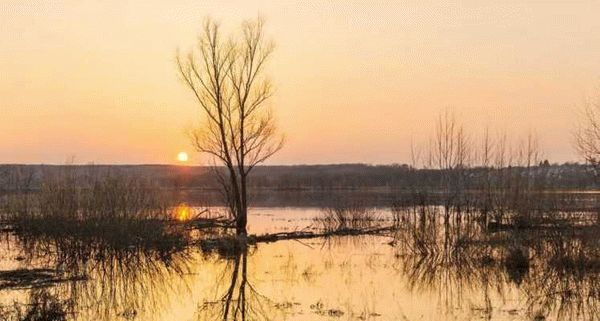 Влияние нерестового запрета на экосистему рек и озер