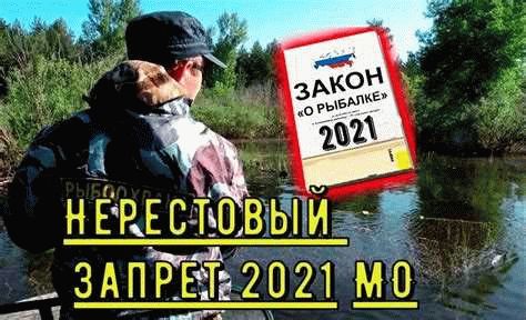 Ожидаемые результаты запрета в 2024 году