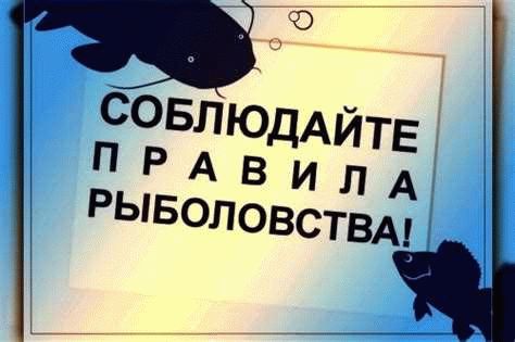 Уменьшение рыболовных уловов и туристического потока