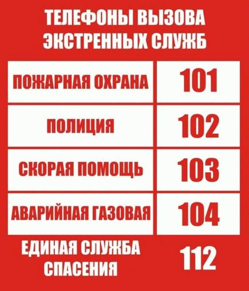 Основные запреты на дорогах России
