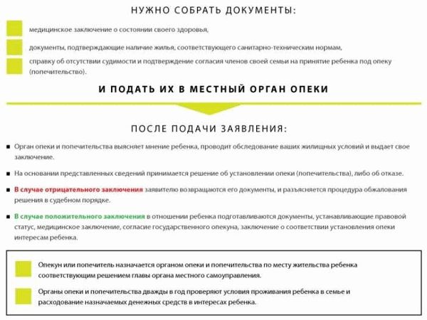 Шаги по оформлению опекунства через госуслуги