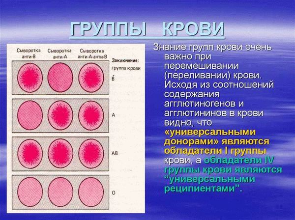 Какие способы получения гражданства существуют