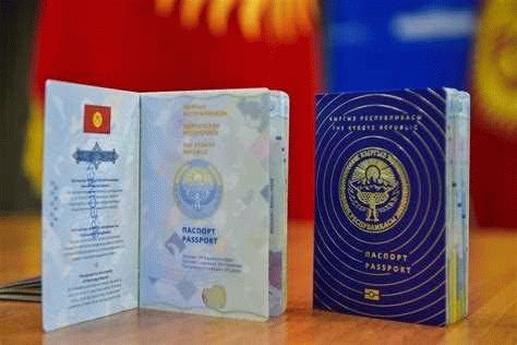 Условия и требования для получения гражданства Киргизии