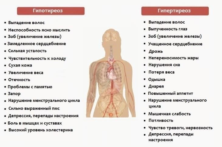 Понимание гипотиреоза и его влияния на здоровье