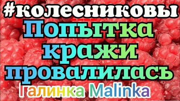 Профилактика кражи статей: советы от экспертов