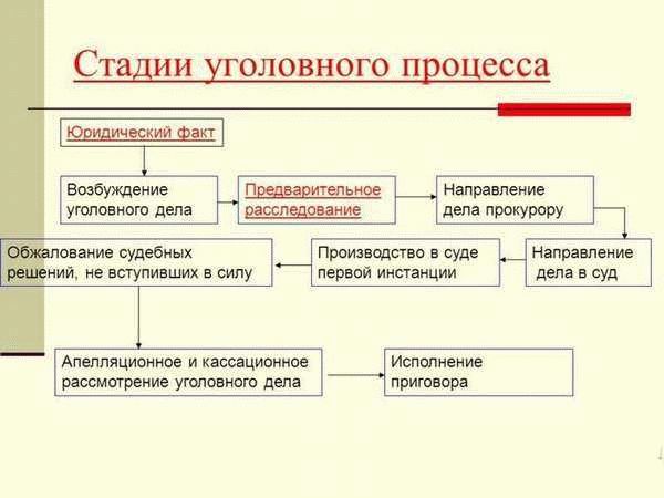 Роль следователя в расследовании уголовного дела