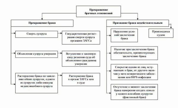 Роли и права супругов в процессе раздела имущества