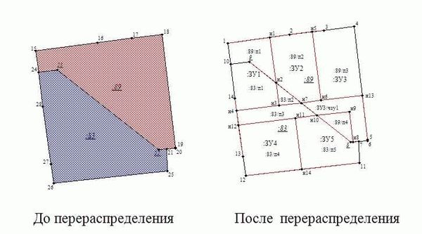 Государственные органы, отвечающие за процедуру