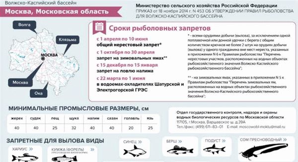 Новости о запрете рыболовства в Подмосковье на 2024 год