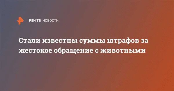  Как сообщить о случаях жестокого обращения с животными 