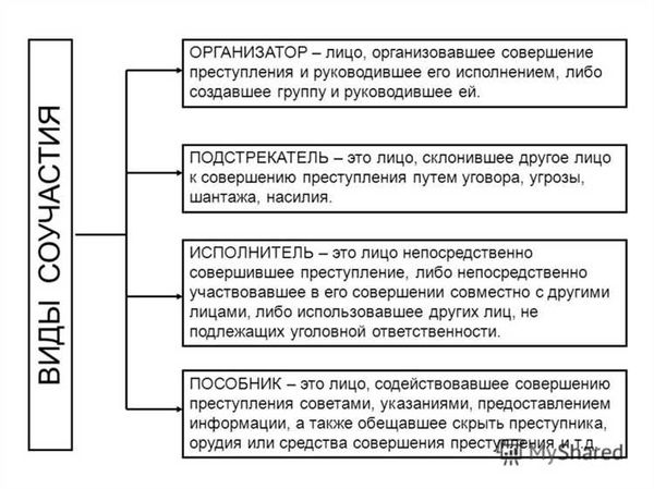 Основная ответственность и виды