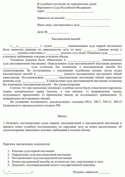 Подача апелляционной жалобы