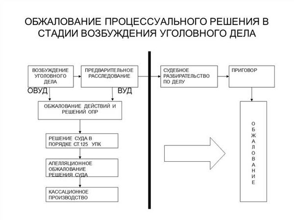 Судебное разбирательство