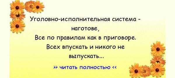 Уголовно исполнительная инспекция Саратова: роль и задачи