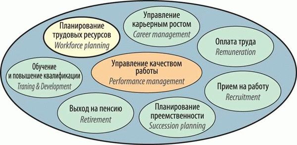 Кто имеет право на упрощенную систему получения гражданства