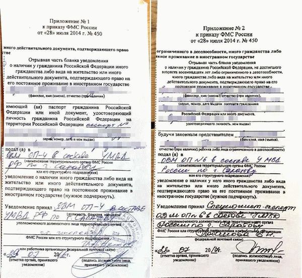 6. Сроки рассмотрения