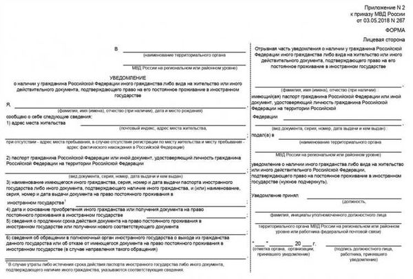 Подача уведомления о втором гражданстве: основные шаги