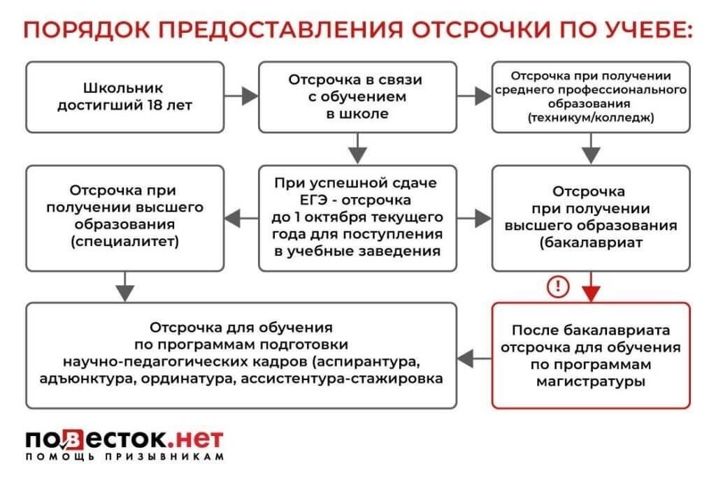 Виды отсрочек, предоставляемых в 2024 году при трудоустройстве