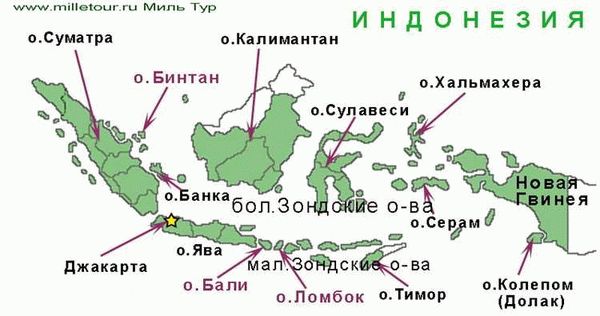 Подача заявки