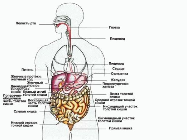 Проявления страданий для английского