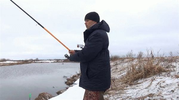 Ограничения в местах добычи и возрасте рыбы